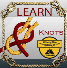 learn Knots